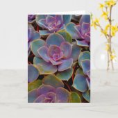 Paars blauw blauw-groen Succulent Cactus Plant Kaart (Gele Bloem)