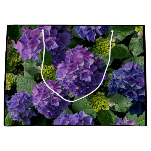 Paars-blauw-buikhydrangea Groot Cadeauzakje (Voorkant)