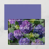 Paars blauwe periwinkle hortensia's bespaar save the date (Voorkant / Achterkant)