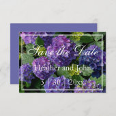 Paars blauwe periwinkle hortensia's besparen save the date (Voorkant / Achterkant)