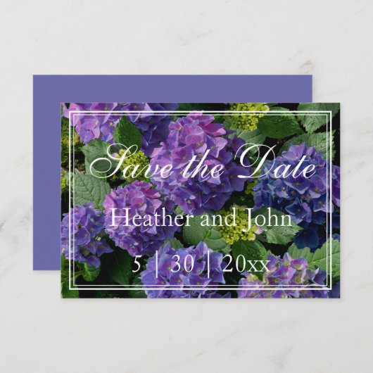 Paars blauwe periwinkle hortensia's besparen save the date (Voorkant / Achterkant)
