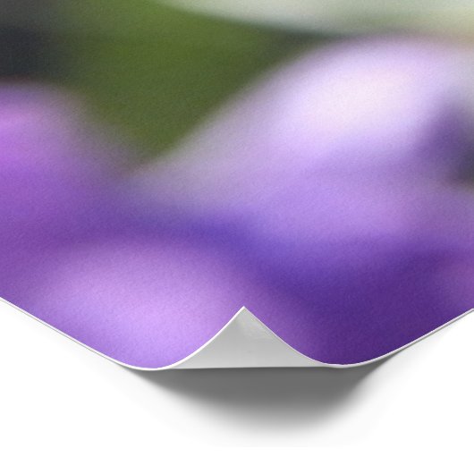 paars bloem met tweeslachtig versum over geloof poster (Hoek)