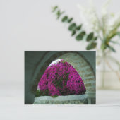 Paars bloemen door een boog. briefkaart (Staand voorkant)