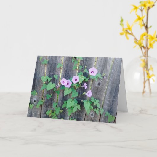 Paars bloemen groeien in hechtenis kaart (Gele Bloem)