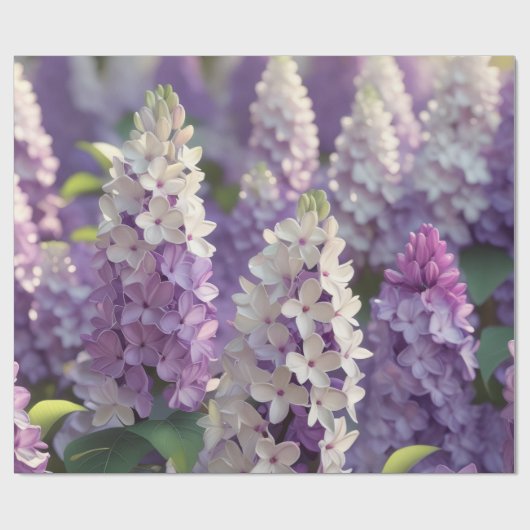 Paars bloemkool cadeaupapier (Vlak)