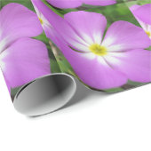 Paars bloemperkamperpapier cadeaupapier (Rol Hoek)