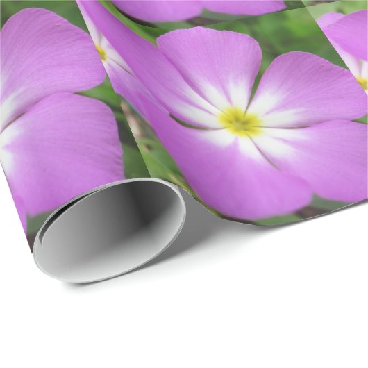 Paars bloemperkamperpapier cadeaupapier (Rol Hoek)