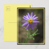 paars bloemvermogen briefkaart (Voorkant / Achterkant)