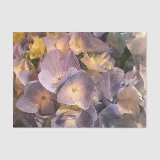 Paars bloemweefsel tissuepapier (Voorkant)