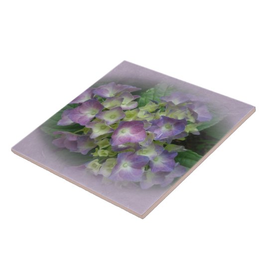 Paars Blue Hydrangea Flowers Tegeltje (Zijkant)