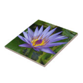 Paars/Blue Water Lily Pond Tegeltje (Zijkant)