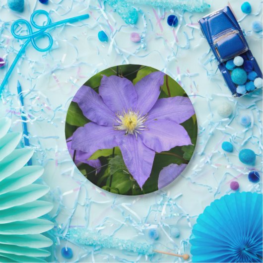 Paars Bord van Clematis Paper (Feest)
