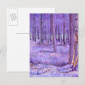 Paars bos 2 2012 briefkaart (Voorkant / Achterkant)
