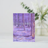 Paars bos 2 2012 briefkaart (Staand voorkant)