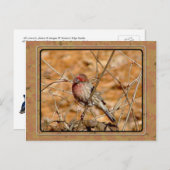 Paars Briefkaart (Voorkant / Achterkant)