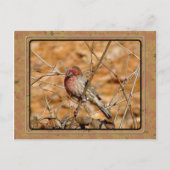 Paars Briefkaart (Voorkant)