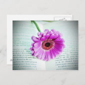 Paars  Briefkaart (Voorkant / Achterkant)