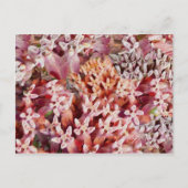 Paars Briefkaart (Voorkant)