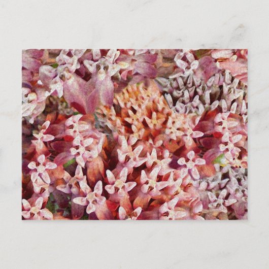 Paars Briefkaart (Voorkant)