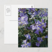 Paars Briefkaart (Voorkant / Achterkant)