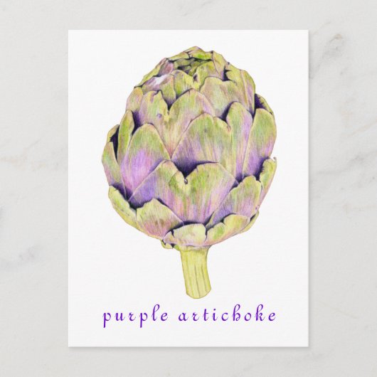 Paars Briefkaart Artichoke (Voorkant)