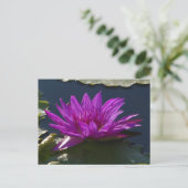 Paars Briefkaart Lotus Waterlily (Staand voorkant)