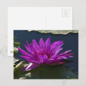 Paars Briefkaart Lotus Waterlily (Voorkant / Achterkant)