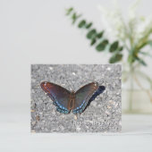 Paars Briefkaart met rode vlekken (Staand voorkant)