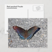 Paars Briefkaart met rode vlekken (Voorkant / Achterkant)