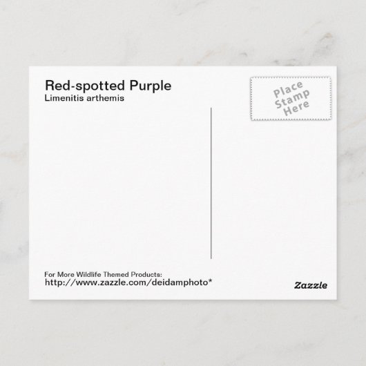 Paars Briefkaart met rode vlekken (Achterkant)