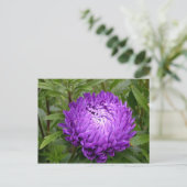 Paars briefkaart - MEVROUW JOH 2011 (Staand voorkant)