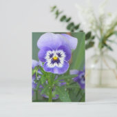  Paars Briefkaart Pansy (Staand voorkant)