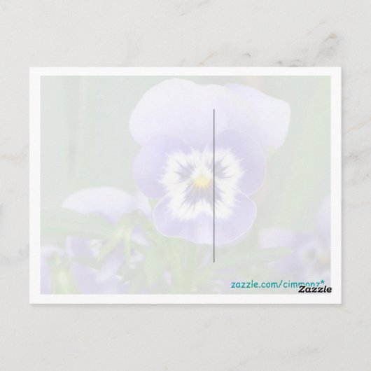 Paars Briefkaart Pansy (Achterkant)