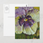 Paars Briefkaart Pansy (Voorkant / Achterkant)