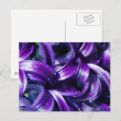 Paars Briefkaart van de Hyacinth Flower (Voorkant / Achterkant)