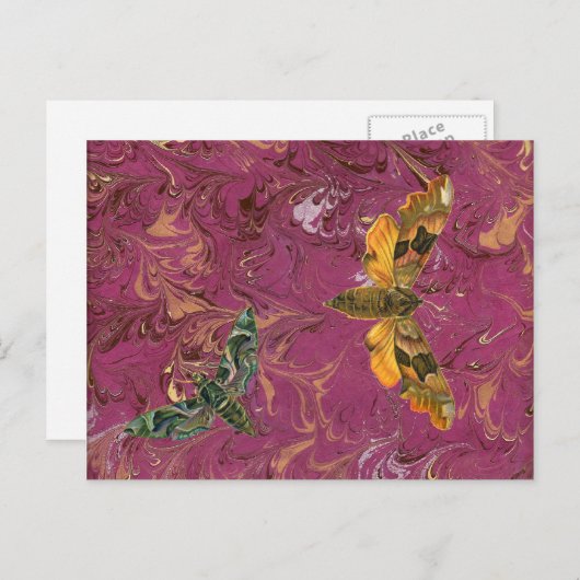 Paars Briefkaart van de Moth (Voorkant / Achterkant)