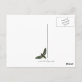 Paars Briefkaart van de Moth (Achterkant)