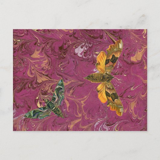 Paars Briefkaart van de Moth (Voorkant)