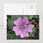 Paars Briefkaart van wilde bloemen (Voorkant / Achterkant)