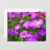  Paars Briefkaart voor bladerend  (Voorkant / Achterkant)