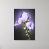paars canvas afdruk (Voorkant)