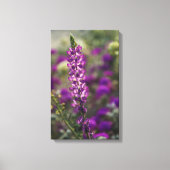 Paars Canvas Afdruk (Voorkant)