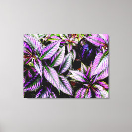 'Paars' Canvasprint met Wikkellijst Canvas Afdruk
