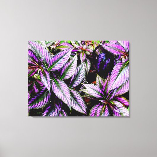'Paars' Canvasprint met Wikkellijst Canvas Afdruk (Voorkant)