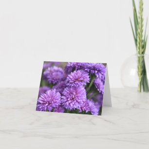 Paars-Chinees Aster Bloom Feestdagen Kaart
