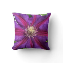 Paars Clematis Blossom