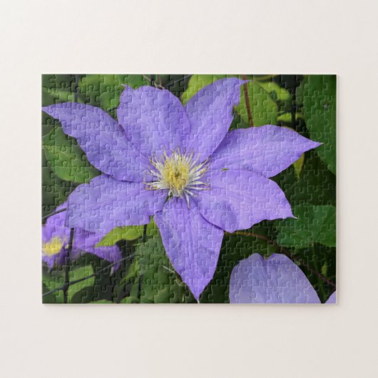 Paars Clematis Blossom Legpuzzel (Horizontaal)