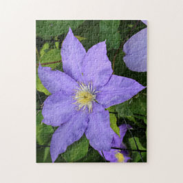 Paars Clematis Blossom Legpuzzel