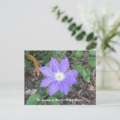 Paars Clematis Briefkaart (Staand voorkant)