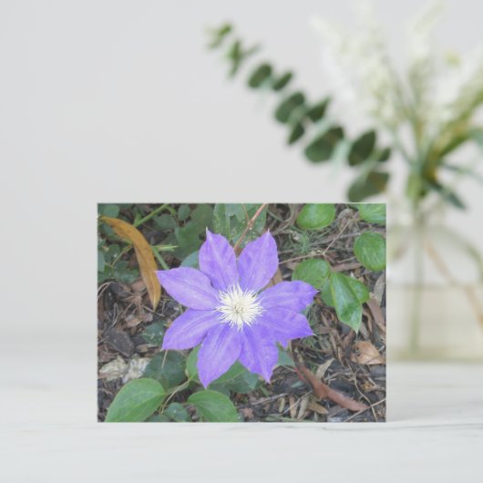 Paars Clematis Briefkaart (Staand voorkant)
